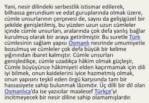 Aşırı uzun cümleler akademik çeviriyi boğar