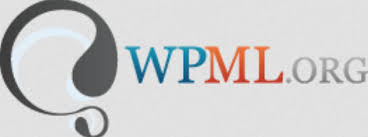 Çok dilli site için wpml