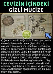 Kendinle İlgilen-Ceviz balgam sökücülüğü