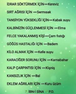 ibna-sina-tavsiyeler