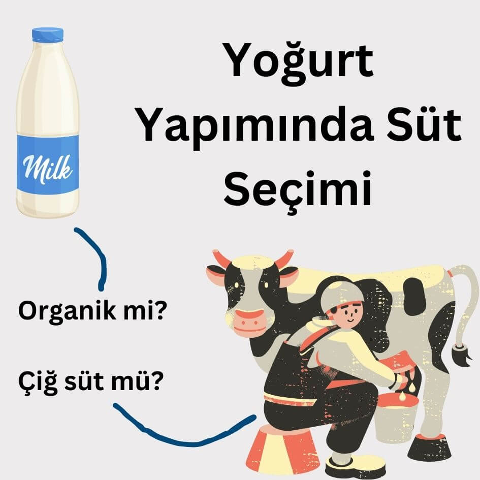 Organik süt mü çiğ süt mü uht süt mü