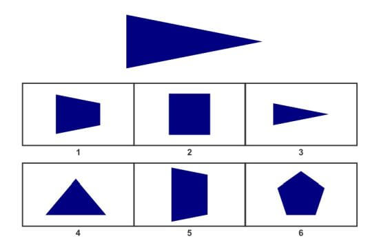 7-yas-icin-wisc-soru-ornegi2