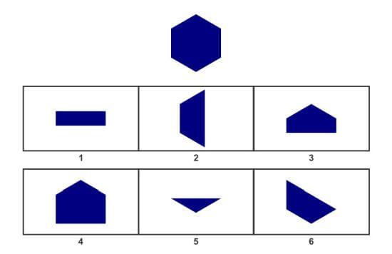 8-yas-icin-wisc-soru-ornegi-1