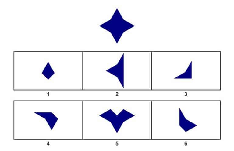 11 yaş için wisc soru örneği-2