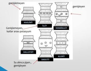 Bentonit kil smektit grubunda