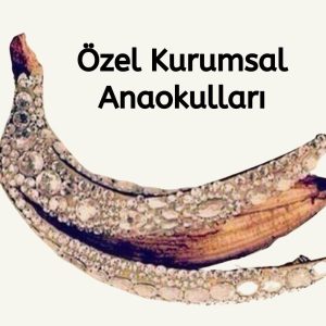 Zengin anaokulları